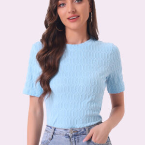 Casual Short Sleeves Round Neck Basic Textured Blouse